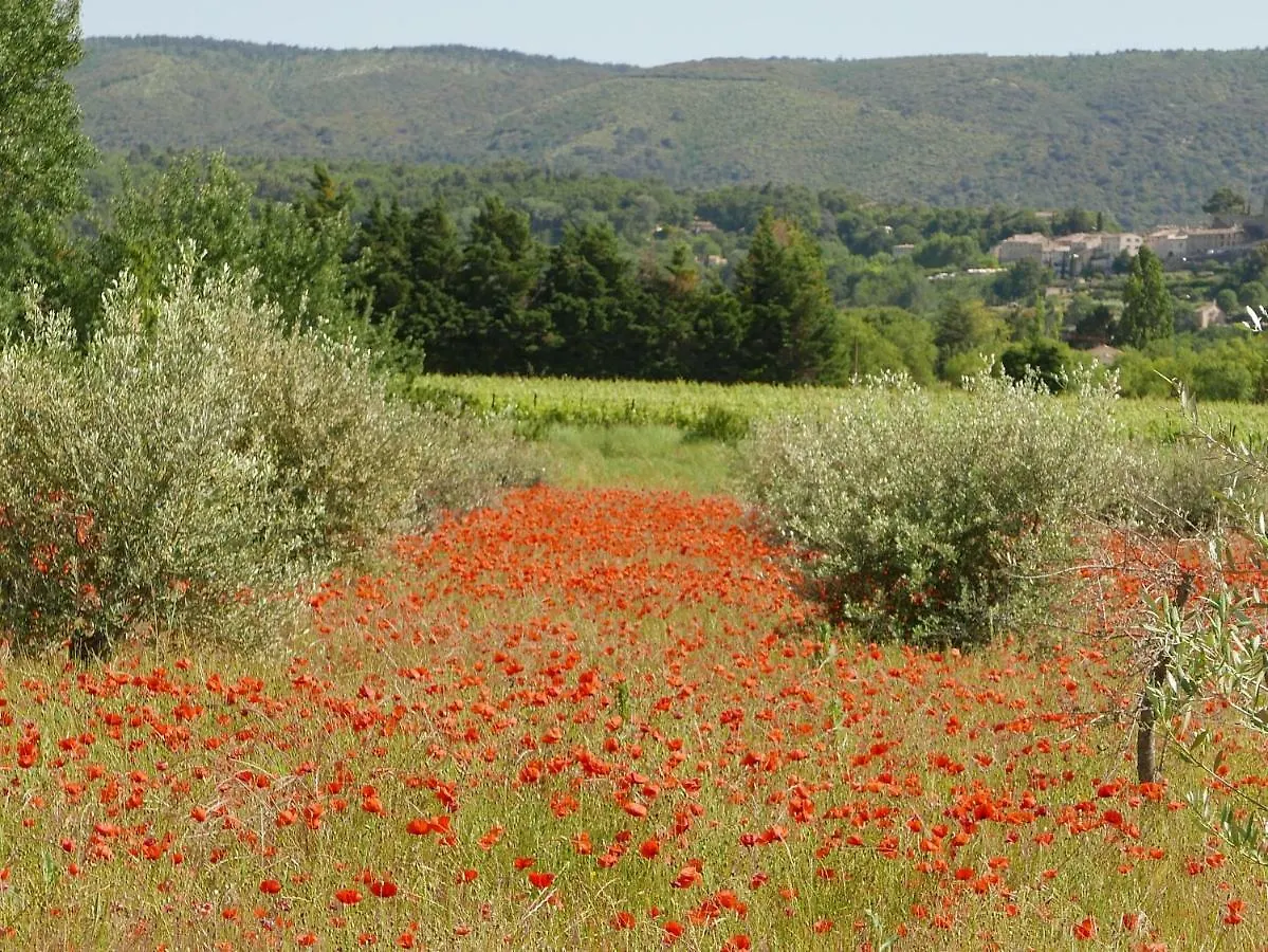 Chateau Des Gipieres Bij De Mont Ventoux Montbrun-les-Bains