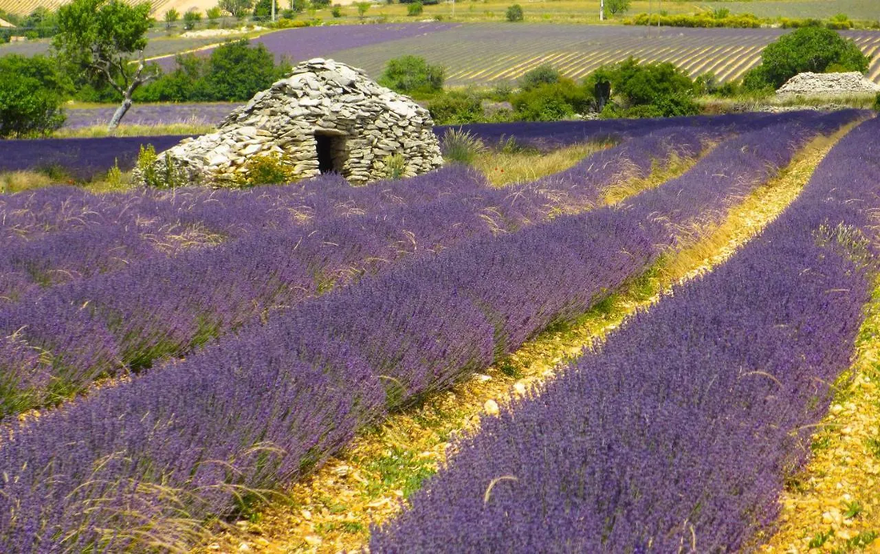 Chateau Des Gipieres Bij De Mont Ventoux Montbrun-les-Bains
